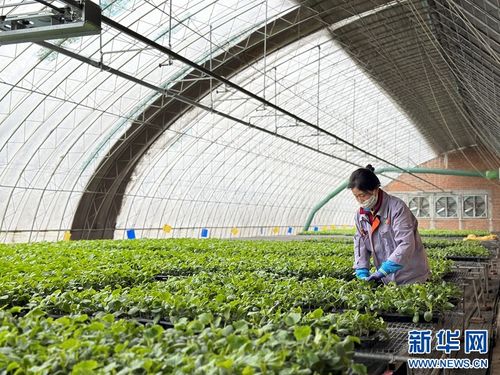 果蔬住上科技房，智慧農業種出新花樣